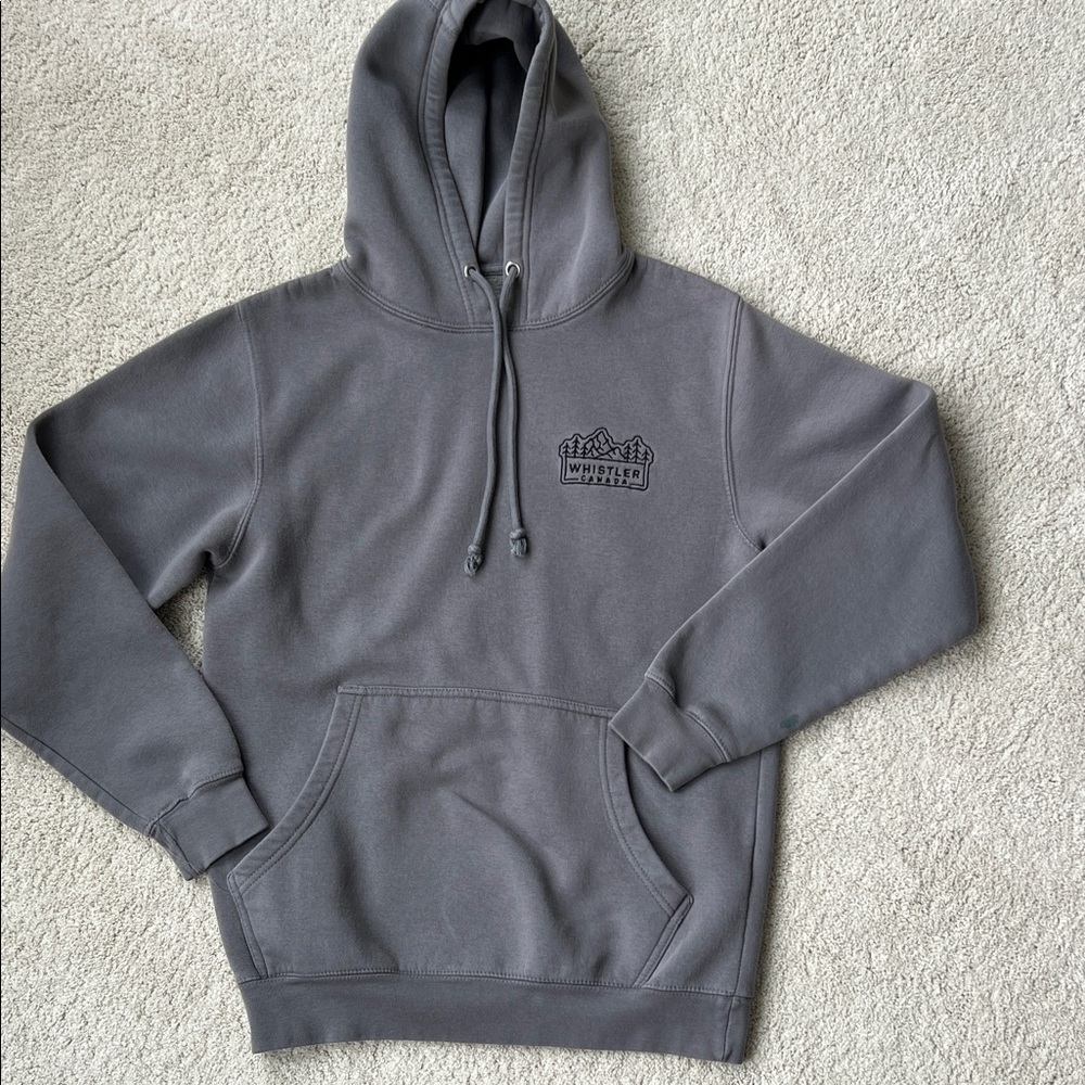 Gray Whistler Hoodie